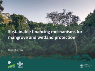 Sustainable financing mechanisms for
mangrove and wetland protection
Pham Thu Thuy
 