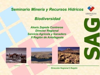 SAG
Dirección Regional II Región
Seminario Minería y Recursos Hídricos
Biodiversidad
Alexis Zepeda Contreras
Director Regional
Servicio Agrícola y Ganadero
II Región de Antofagasta
 