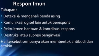 Respon Imun
Tahapan :
• Deteksi & mengenali benda asing
• Komunikasi dg sel lain untuk berespons
• Rekruitmen bantuan & koordinasi respons
• Destruksi atau supresi penginvasi
Hal tersebut semuanya akan membentuk antibodi dan
sitokin
 