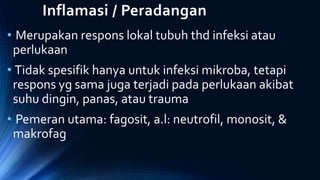 Inflamasi / Peradangan
• Merupakan respons lokal tubuh thd infeksi atau
perlukaan
• Tidak spesifik hanya untuk infeksi mikroba, tetapi
respons yg sama juga terjadi pada perlukaan akibat
suhu dingin, panas, atau trauma
• Pemeran utama: fagosit, a.l: neutrofil, monosit, &
makrofag
 