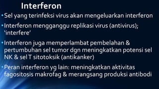 Interferon
•Sel yang terinfeksi virus akan mengeluarkan interferon
•Interferon mengganggu replikasi virus (antivirus);
‘interfere’
•Interferon juga memperlambat pembelahan &
pertumbuhan sel tumor dgn meningkatkan potensi sel
NK & selT sitotoksik (antikanker)
•Peran interferon yg lain: meningkatkan aktivitas
fagositosis makrofag & merangsang produksi antibodi
 