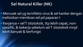 Sel Natural Killer (NK)
• Merusak sel yg terinfeksi virus & sel kanker dengan
melisiskan membran sel pd paparan I
• Kerjanya = selT sitotoksik, ttp lebih cepat, non-
spesifik, & bekerja sebelum selT sitotoksik mnjd
lebih banyak & berfungsi
 