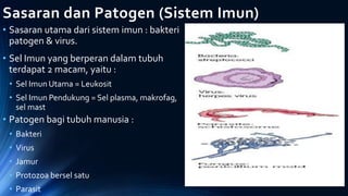Sasaran dan Patogen (Sistem Imun)
• Sasaran utama dari sistem imun : bakteri
patogen & virus.
• Sel Imun yang berperan dalam tubuh
terdapat 2 macam, yaitu :
• Sel Imun Utama = Leukosit
• Sel Imun Pendukung = Sel plasma, makrofag,
sel mast
• Patogen bagi tubuh manusia :
• Bakteri
• Virus
• Jamur
• Protozoa bersel satu
• Parasit
 
