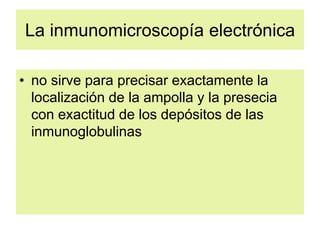 La inmunomicroscopía electrónica
• no sirve para precisar exactamente la
localización de la ampolla y la presecia
con exactitud de los depósitos de las
inmunoglobulinas
 