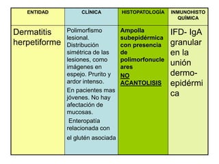 ENTIDAD CLÍNICA HISTOPATOLOGÍA INMUNOHISTO
QUÍMICA
Dermatitis
herpetiforme
Polimorfismo
lesional.
Distribución
simétrica de las
lesiones, como
imágenes en
espejo. Prurito y
ardor intenso.
En pacientes mas
jóvenes. No hay
afectación de
mucosas.
Enteropatía
relacionada con
el glutén asociada
Ampolla
subepidérmica
con presencia
de
polimorfonucle
ares
NO
ACANTOLISIS
IFD- IgA
granular
en la
unión
dermo-
epidérmi
ca
 