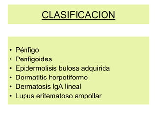 CLASIFICACION
• Pénfigo
• Penfigoides
• Epidermolisis bulosa adquirida
• Dermatitis herpetiforme
• Dermatosis IgA lineal
• Lupus eritematoso ampollar
 