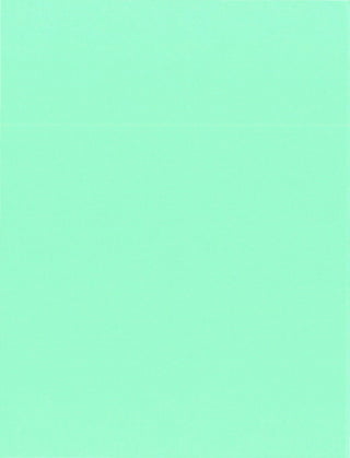 06 24-13  appellants' opening brief