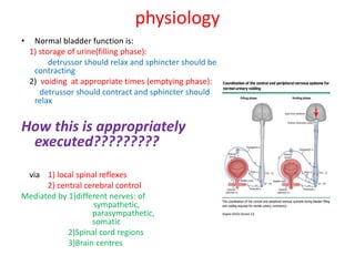 06.05.21-neurogenic-bladder-and-Copy.pdf