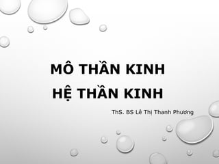 MÔ THẦN KINH
HỆ THẦN KINH
ThS. BS Lê Thị Thanh Phương
 