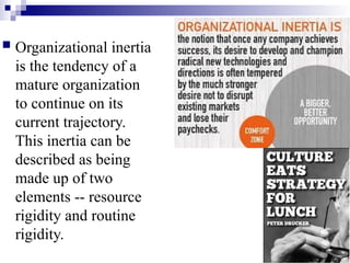 06. Organization Size, Life Cycle, and Decline (2024).pptx