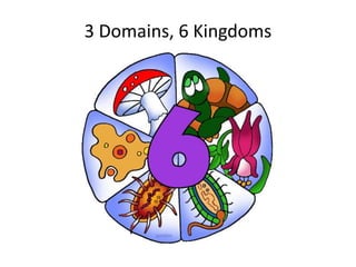 3 Domains, 6 Kingdoms
 