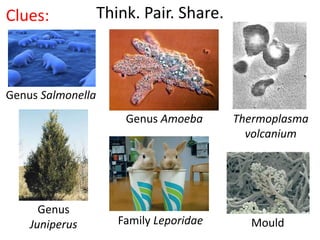 Think. Pair. Share.Clues:
Genus Salmonella
Thermoplasma
volcanium
Genus
Juniperus Family Leporidae Mould
Genus Amoeba
 