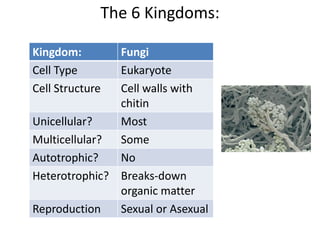 The 6 Kingdoms:
Kingdom: Fungi
Cell Type Eukaryote
Cell Structure Cell walls with
chitin
Unicellular? Most
Multicellular? Some
Autotrophic? No
Heterotrophic? Breaks-down
organic matter
Reproduction Sexual or Asexual
 