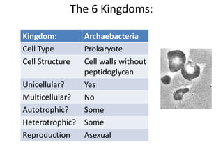 The 6 Kingdoms:
Kingdom: Archaebacteria
Cell Type Prokaryote
Cell Structure Cell walls without
peptidoglycan
Unicellular? Yes
Multicellular? No
Autotrophic? Some
Heterotrophic? Some
Reproduction Asexual
 