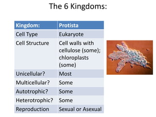 The 6 Kingdoms:
Kingdom: Protista
Cell Type Eukaryote
Cell Structure Cell walls with
cellulose (some);
chloroplasts
(some)
Unicellular? Most
Multicellular? Some
Autotrophic? Some
Heterotrophic? Some
Reproduction Sexual or Asexual
 