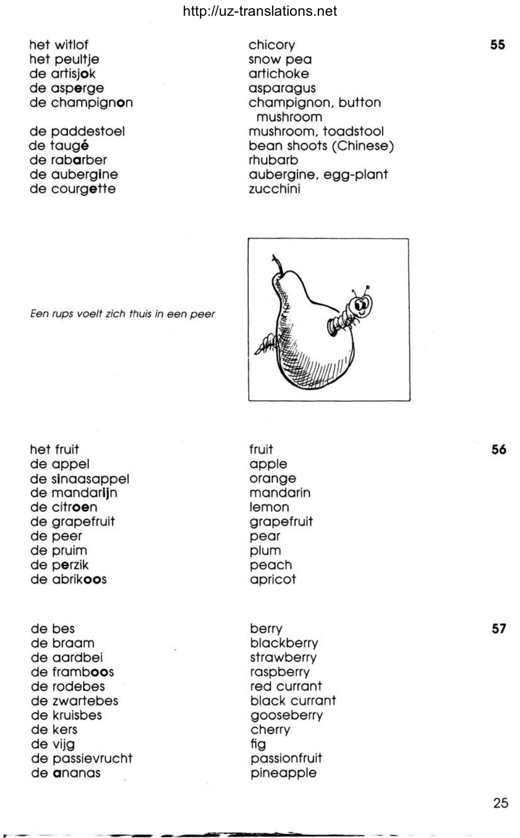 06.a dutch vocabulary