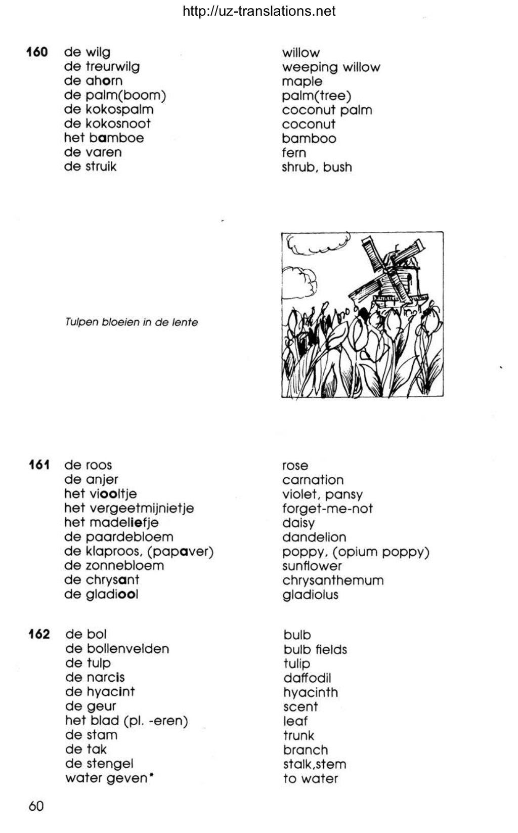 06.a dutch vocabulary