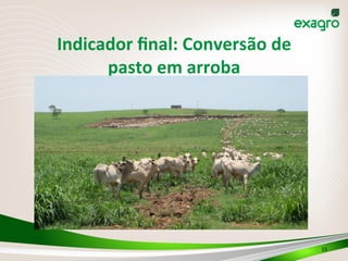 Indicador	
  ﬁnal:	
  Conversão	
  de	
  
pasto	
  em	
  arroba	
  	
  
15	
  
 
