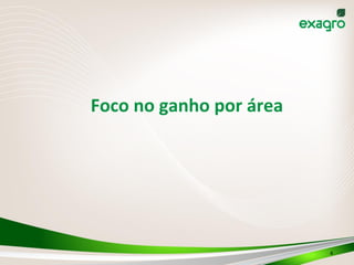  
	
  
	
  
Foco	
  no	
  ganho	
  por	
  área	
  
	
  
	
  
4	
  
 