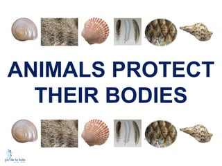 ANIMALS PROTECT
THEIR BODIES

 
