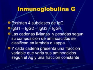 Inmunoglobulina G
Exsisten 4 subclases de IgG
IgG1 – IgG2 – IgG3 – IgG4
Las cadenas livianas y pesadas segun
su composicion de aminoacidos se
clasifican en lambda o kappa.
Y cada cadena presenta una fraccion
variable que varia sus aminoacidos
segun el Ag y una fraccion constante
 