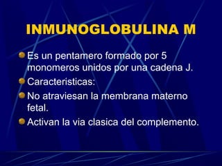 INMUNOGLOBULINA M
Es un pentamero formado por 5
monomeros unidos por una cadena J.
Caracteristicas:
No atraviesan la membrana materno
fetal.
Activan la via clasica del complemento.
 