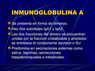INMUNOGLOBULINA A
Se presenta en forma de dimeros.
Hay dos subclases IgA1 y IgA2.
Las dos fracciones del dimero se encuentran
unidas por la fraccion cristalizable y alrededor
se entrelaza el componente secretor o Sc/
Predomina en seccreciones externas como
saliva, lagrimas, secrecciones
traquebronquiales e intestinales.
 