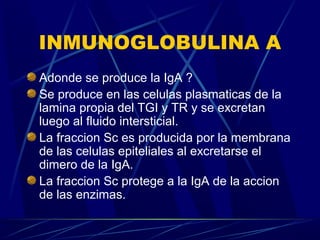 INMUNOGLOBULINA A
Adonde se produce la IgA ?
Se produce en las celulas plasmaticas de la
lamina propia del TGI y TR y se excretan
luego al fluido intersticial.
La fraccion Sc es producida por la membrana
de las celulas epiteliales al excretarse el
dimero de la IgA.
La fraccion Sc protege a la IgA de la accion
de las enzimas.
 