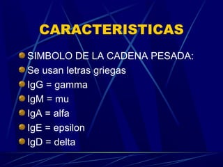 CARACTERISTICAS
SIMBOLO DE LA CADENA PESADA:
Se usan letras griegas
IgG = gamma
IgM = mu
IgA = alfa
IgE = epsilon
IgD = delta
 