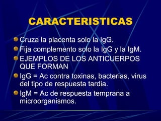CARACTERISTICAS
Cruza la placenta solo la IgG.
Fija complemento solo la IgG y la IgM.
EJEMPLOS DE LOS ANTICUERPOS
QUE FORMAN
IgG = Ac contra toxinas, bacterias, virus
del tipo de respuesta tardia.
IgM = Ac de respuesta temprana a
microorganismos.
 