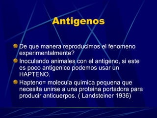Antigenos
De que manera reproducimos el fenomeno
experimentalmente?
Inoculando animales con el antigeno, si este
es poco antigenico podemos usar un
HAPTENO.
Hapteno= molecula quimica pequena que
necesita unirse a una proteina portadora para
producir anticuerpos. ( Landsteiner 1936)
 