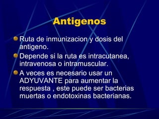 Antigenos
Ruta de inmunizacion y dosis del
antigeno.
Depende si la ruta es intracutanea,
intravenosa o intramuscular.
A veces es necesario usar un
ADYUVANTE para aumentar la
respuesta , este puede ser bacterias
muertas o endotoxinas bacterianas.
 