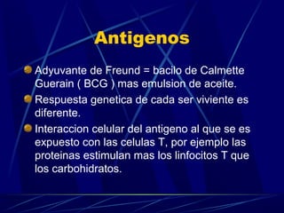 Antigenos
Adyuvante de Freund = bacilo de Calmette
Guerain ( BCG ) mas emulsion de aceite.
Respuesta genetica de cada ser viviente es
diferente.
Interaccion celular del antigeno al que se es
expuesto con las celulas T, por ejemplo las
proteinas estimulan mas los linfocitos T que
los carbohidratos.
 