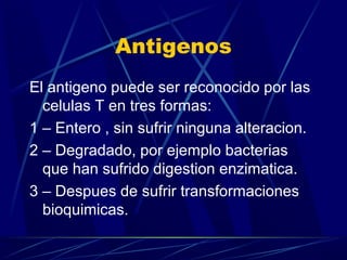 Antigenos
El antigeno puede ser reconocido por las
celulas T en tres formas:
1 – Entero , sin sufrir ninguna alteracion.
2 – Degradado, por ejemplo bacterias
que han sufrido digestion enzimatica.
3 – Despues de sufrir transformaciones
bioquimicas.
 