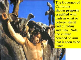The Governor of California shown  properly crucified  with nails in wrist or between distal end of radius and ulna.  Note the vulture perched on arm that is soon to be lunch. 