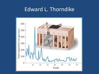 Edward L. Thorndike
 