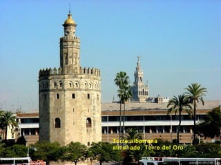Torre albarrana
almohade. Torre del Oro
 