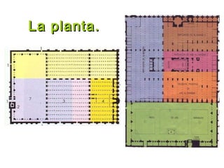 La planta.La planta.
 