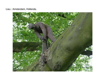 Lieu : Amsterdam, Hollande.
 