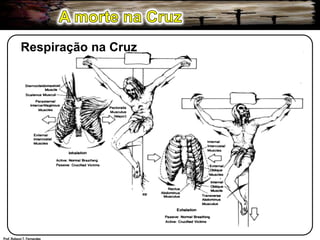 A morte na CruzRespiração na CruzProf. Robson T. Fernandes