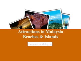 Attractions in Malaysia Beaches & Islands Cuti-cuti to Malaysia 