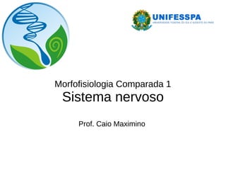 Morfofisiologia Comparada 1
Sistema nervoso
Prof. Caio Maximino
 