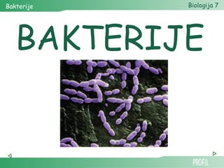 Bakterije Biologija 7 
BAKTERIJE 
 