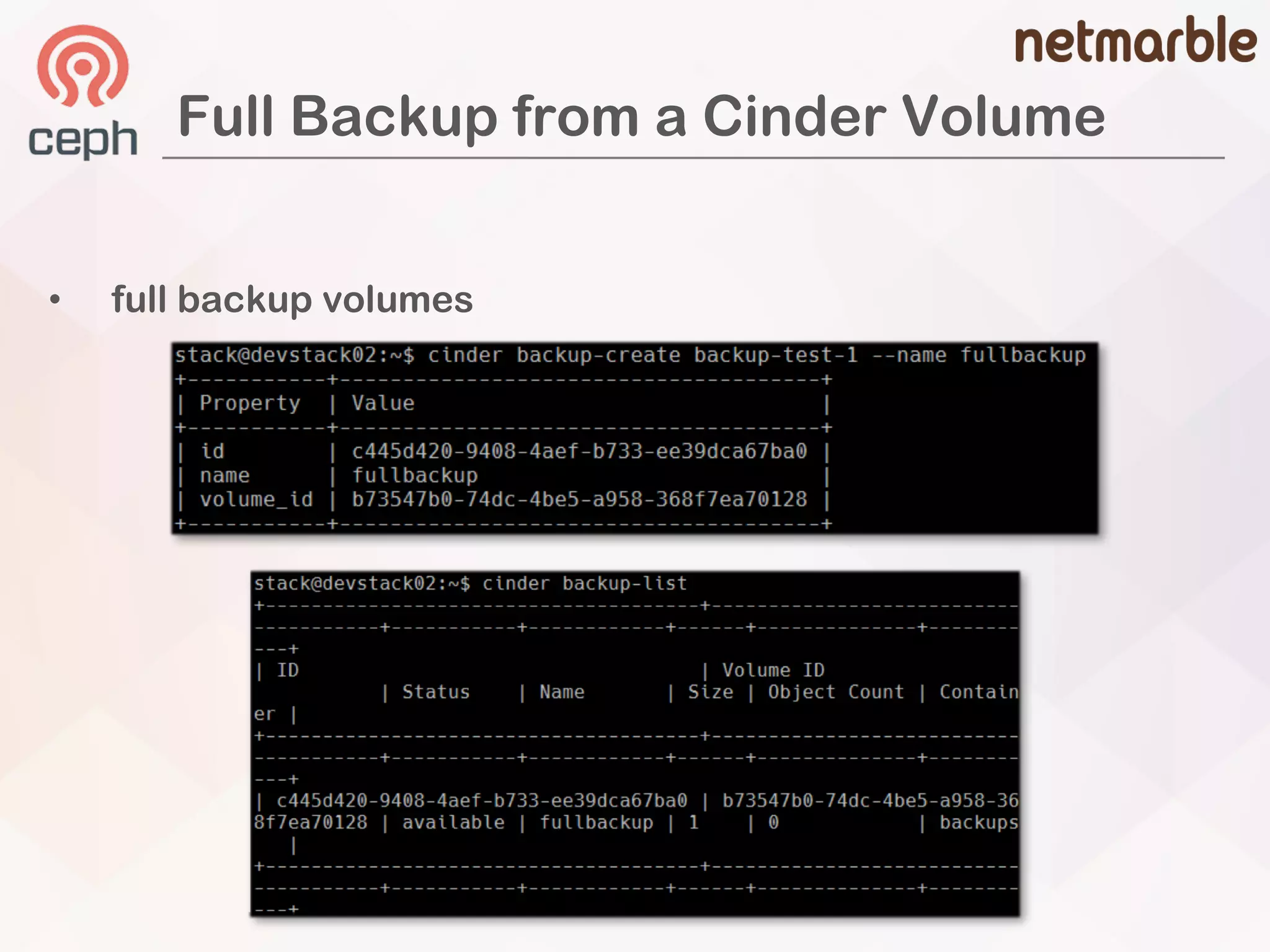 Full Backup from a Cinder Volume
• full backup volumes
 