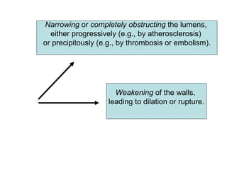 Narrowing or completely obstructing the lumens,
  either progressively (e.g., by atherosclerosis)
or precipitously (e.g., by thrombosis or embolism).




                      Weakening of the walls,
                    leading to dilation or rupture.