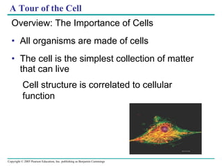 A Tour of the Cell ,[object Object],[object Object],[object Object],Cell structure is correlated to cellular function 