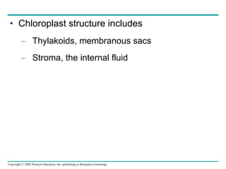 Chloroplast structure includes Thylakoids, membranous sacs Stroma, the internal fluid 
