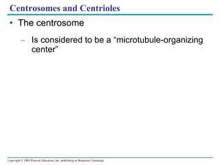 Centrosomes and Centrioles The centrosome Is considered to be a “microtubule-organizing center” 