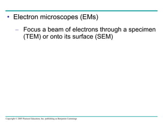 Electron microscopes (EMs) Focus a beam of electrons through a specimen (TEM) or onto its surface (SEM) 