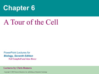 Copyright © 2005 Pearson Education, Inc. publishing as Benjamin Cummings
PowerPoint Lectures for
Biology, Seventh Edition
Neil Campbell and Jane Reece
Lectures by Chris Romero
Chapter 6
A Tour of the Cell
 